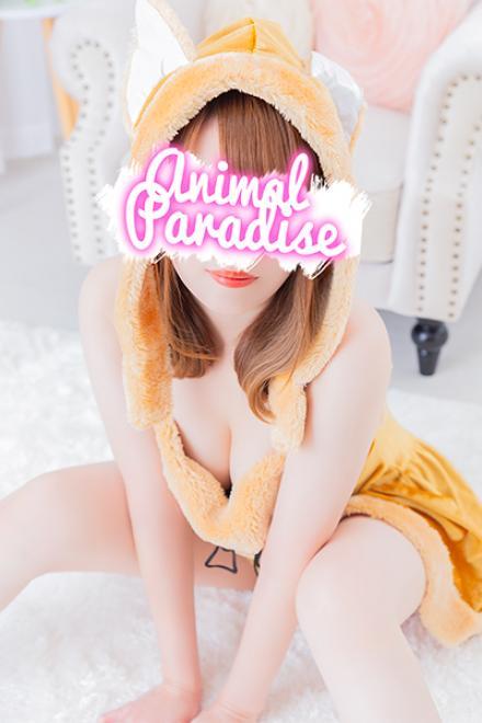 アゲハのプロフィール写真1