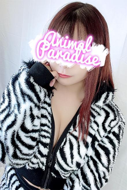 フミカのプロフィール写真1