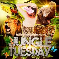 本日JUNGLE　TUESDAY開催！いつもより断然お得です！！