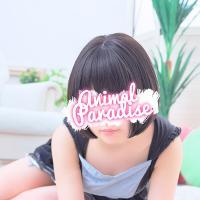 水曜日の五反田アニマルパラダイス！