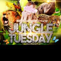 JUNGLE TUESDAY(＾◇＾)開催日です！！