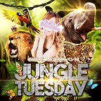 火曜日(^-^)JUNGLE TUESDAY開催日ですよ！！