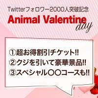 ハッピー☆彡アニマルバレンタインデー***2日目=^_^=