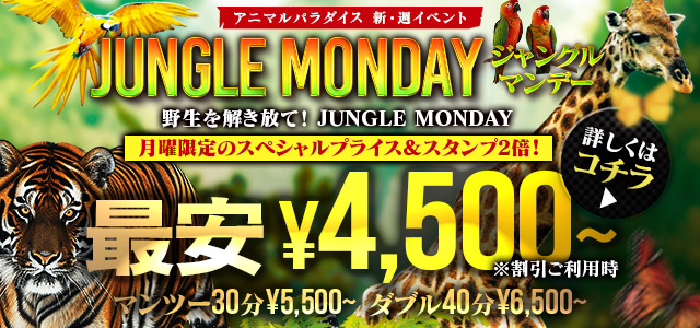 毎週月曜は JUNGLE MONDAY