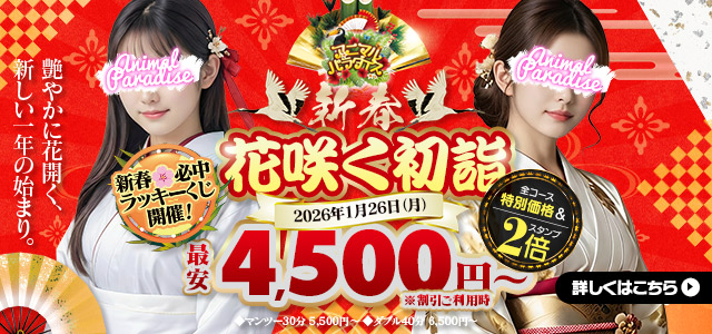 新春 花咲く初詣